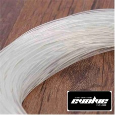 Evo Inter One Clear - Intermediate Line