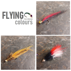 Premium Mixed Flies