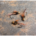 Eco Beaded Flies